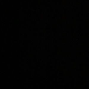 Meet your Posher, Ella